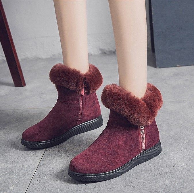 Winterboots - gezellige en trendy enkellaarzen voor dames