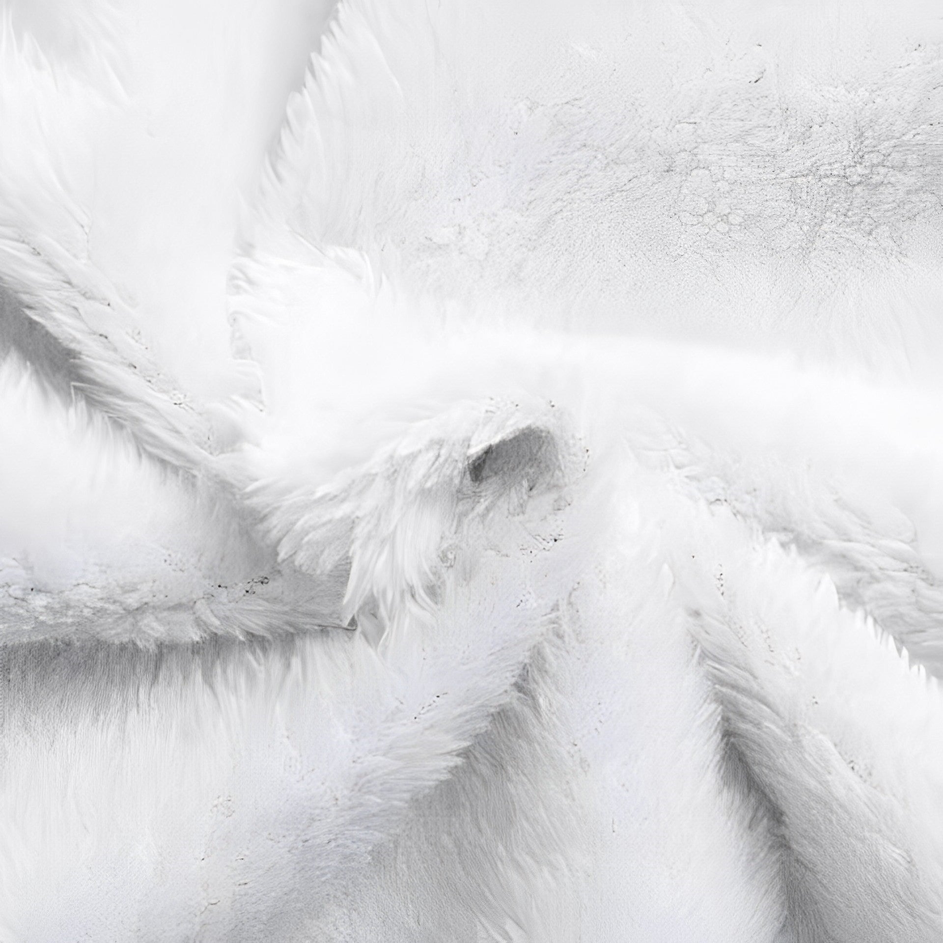 Waterdichte fleece-gevoerde jas - functionele damesouterwear