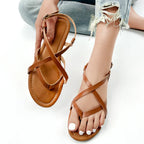 40823756587111|40823756619879|40823756652647|40823756685415|40823756783719|40823757078631