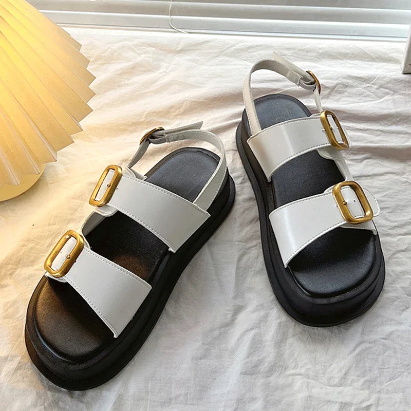 40823784439911|40823784472679|40823784505447|40823784538215|40823784570983|40823784669287