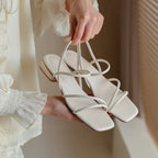 40823776641127|40823776837735|40823776903271|40823776968807|40823777034343